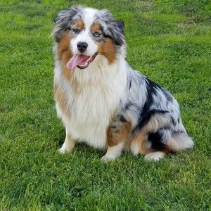 Meet your Posher, Vicki